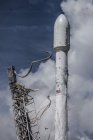 Filename=orbcomm_launch_logo_close.jpg
Filesize=379KiB
Dimensions=1365x2048
Date added=Jul 31, 2014 orbcomm_launch_logo_close.jpg