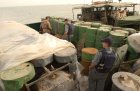 Filename=US_Navy_030321-N-4655M-028_Coalition_Navy_Explosive_Ordnance_Disposal_28EOD29_team_members_inspect_camouflaged_mines_hidden_inside_oil_barrels_on_the_deck_of_an_Iraqi_shipping_barge.jpg
Filesize=409KiB
Dimensions=2000x1312
Date added=Sep 08, 2013 US_Navy_030321-N-4655M-028_Coalition_Navy_Explosive_Ordnance_Disposal_28EOD29_team_members_inspect_camouflaged_mines_hidden_inside_oil_barrels_on_the_deck_of_an_Iraqi_shipping_barge.jpg