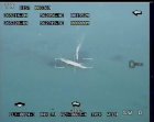 Filename=syt_khbry_rwbT_60mwmy_sph5B280172132903-12-355D.JPG
Filesize=23KiB
Dimensions=720x576
Date added=Jun 07, 2015 syt_khbry_rwbT_60mwmy_sph5B280172132903-12-355D.JPG