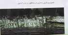Filename=IMG_1193.JPG
Filesize=537KiB
Dimensions=2048x1060
Date added=Nov 18, 2016 IMG_1193.JPG