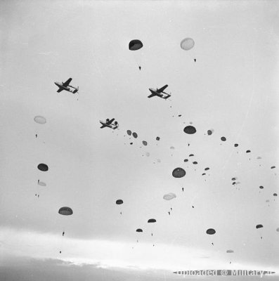 normal_16th_Airborne_Division_1953.jpg