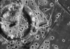Filename=800px-PeenemundeAfterBombs.jpg
Filesize=159KiB
Dimensions=800x562
Date added=Jan 16, 2018 800px-PeenemundeAfterBombs.jpg