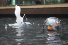 Filename=6066239b10edb2a72f0badab20c78a49f7f3.jpg
Filesize=187KiB
Dimensions=1556x1037
Date added=Jun 20, 2019 6066239b10edb2a72f0badab20c78a49f7f3.jpg