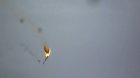 Filename=Protoncrash_2013_03.jpg
Filesize=75KiB
Dimensions=1280x720
Date added=Jul 04, 2013 Protoncrash_2013_03.jpg