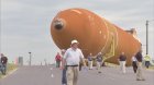 Filename=SpaceShuttle_Documentary_06.jpg
Filesize=175KiB
Dimensions=1280x720
Date added=Jun 02, 2013 SpaceShuttle_Documentary_06.jpg