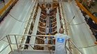 Filename=TheSpaceShuttles_LastFlight_05.jpg
Filesize=338KiB
Dimensions=1424x801
Date added=Jun 03, 2013 TheSpaceShuttles_LastFlight_05.jpg