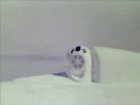 Filename=TodaysTechnology_1984_07.jpg
Filesize=68KiB
Dimensions=960x720
Date added=Jun 21, 2013 TodaysTechnology_1984_07.jpg
