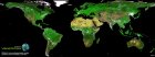 Filename=global_vegetation_mosaic_945.jpg
Filesize=71KiB
Dimensions=945x352
Date added=Jul 10, 2013 global_vegetation_mosaic_945.jpg