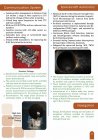 Filename=pslv-c25-brochure-page-010.jpg
Filesize=508KiB
Dimensions=1447x2048
Date added=Nov 06, 2013 pslv-c25-brochure-page-010.jpg