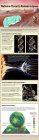 Filename=radiation-space-danger-130529b-02.jpg
Filesize=266KiB
Dimensions=571x2048
Date added=Jun 18, 2013 radiation-space-danger-130529b-02.jpg