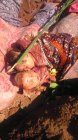 Filename=248980_254.jpg
Filesize=175KiB
Dimensions=360x640
Date added=Nov 14, 2012 248980_254.jpg