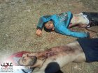 Filename=51a39eb2f1227.jpg
Filesize=161KiB
Dimensions=800x600
Date added=Jun 01, 2013 51a39eb2f1227.jpg