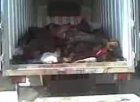Filename=606053590.jpg
Filesize=35KiB
Dimensions=478x351
Date added=Oct 15, 2012 606053590.jpg