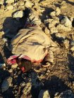Filename=C3c2uCwWIAEtZJ6.jpg
Filesize=222KiB
Dimensions=720x960
Date added=Feb 03, 2017 C3c2uCwWIAEtZJ6.jpg