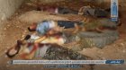 Filename=DhBKbN9X0AA2WE4.jpg
Filesize=147KiB
Dimensions=1200x675
Date added=Jul 03, 2018 DhBKbN9X0AA2WE4.jpg