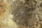 Filename=Ds4lgNMW0AIakww.jpg
Filesize=263KiB
Dimensions=1200x797
Date added=Nov 26, 2018 Ds4lgNMW0AIakww.jpg