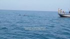 Filename=Dsn7q95UwAAT3Bh.jpg
Filesize=110KiB
Dimensions=1200x675
Date added=Nov 26, 2018 Dsn7q95UwAAT3Bh.jpg