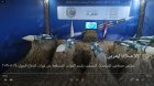 Filename=ECvMHVsXUAAHu3A.jpg
Filesize=147KiB
Dimensions=1200x674
Date added=Aug 24, 2019 ECvMHVsXUAAHu3A.jpg