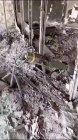 thumb_SU-10_28129.jpg