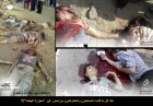 Filename=banias_baida_false_massacre.jpg
Filesize=170KiB
Dimensions=690x480
Date added=May 03, 2013 banias_baida_false_massacre.jpg