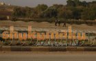 Filename=rs-l60yn-shwkwkwmwkw.jpg
Filesize=96KiB
Dimensions=420x268
Date added=Nov 14, 2012 rs-l60yn-shwkwkwmwkw.jpg