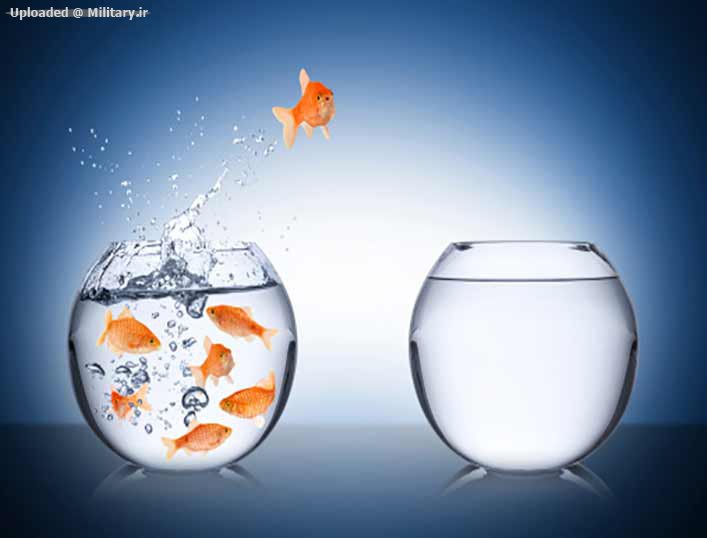 goldfish-leaping-to-new-tankwe.jpg
