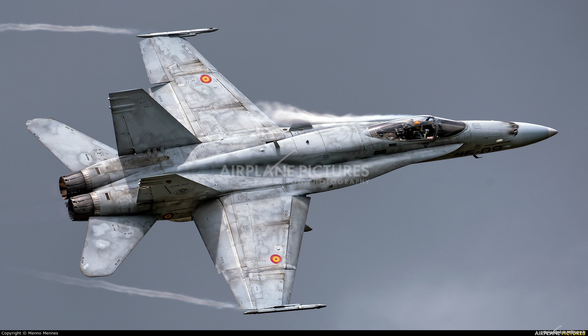 Spain_-_Air_Force_McDonnell_Douglas_EF-1