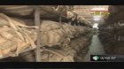 thumb_talash_miltary_ir_282429.JPG