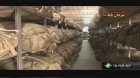 thumb_talash_miltary_ir_282529.JPG