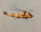 Filename=SeaKing-Khaki-Lowsize.jpg
Filesize=72KiB
Dimensions=800x634
Date added=Jul 22, 2014 SeaKing-Khaki-Lowsize.jpg
