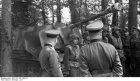 Filename=pzdiv-21-france-rommel-marder1.jpg
Filesize=53KiB
Dimensions=691x400
Date added=Jan 20, 2013 pzdiv-21-france-rommel-marder1.jpg