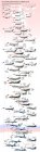 Filename=InKg7ALCA5FrwT8pLGsTu0f-lNd629Yl6rm8tpoUOHI.jpg
Filesize=208KiB
Dimensions=544x2048
Date added=Feb 22, 2019 InKg7ALCA5FrwT8pLGsTu0f-lNd629Yl6rm8tpoUOHI.jpg