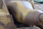 Filename=Saukopfblende_28929.jpg
Filesize=44KiB
Dimensions=578x396
Date added=Sep 09, 2016 Saukopfblende_28929.jpg