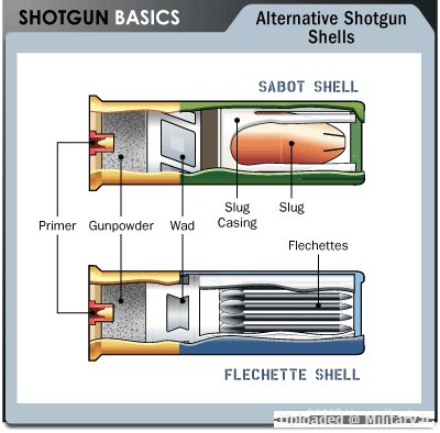 shotgun-shell-sabot.gif
