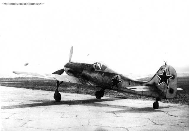 11~147.jpg