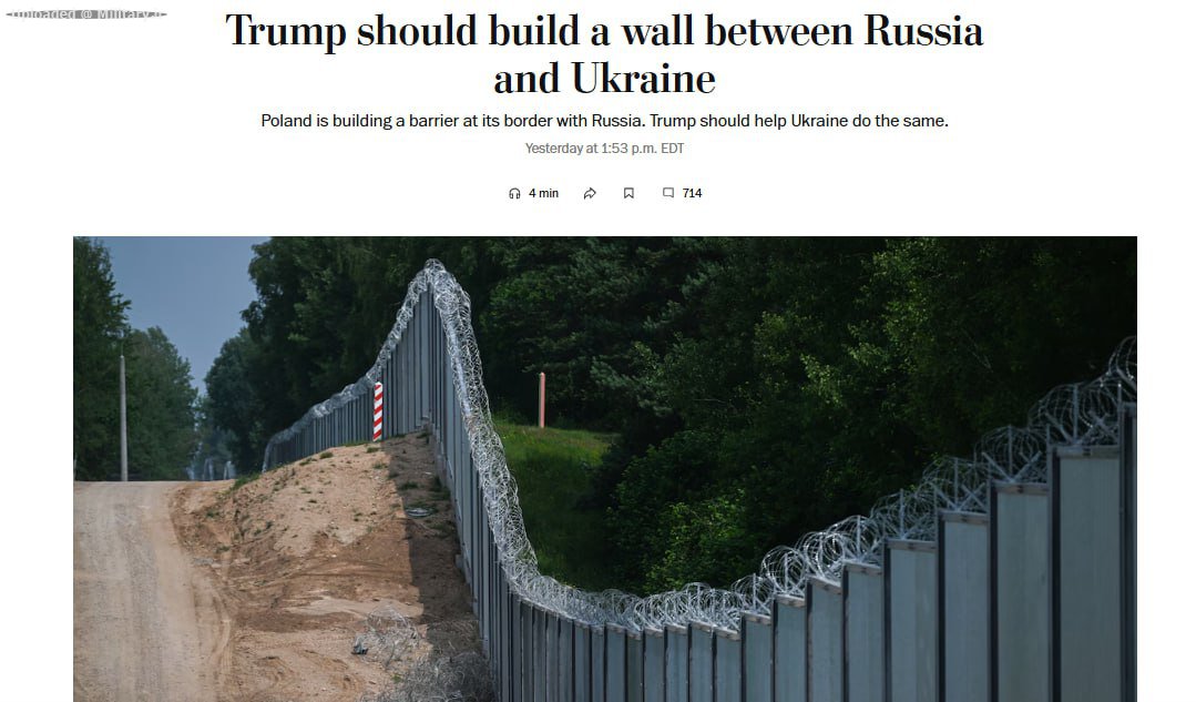 17~81.jpg