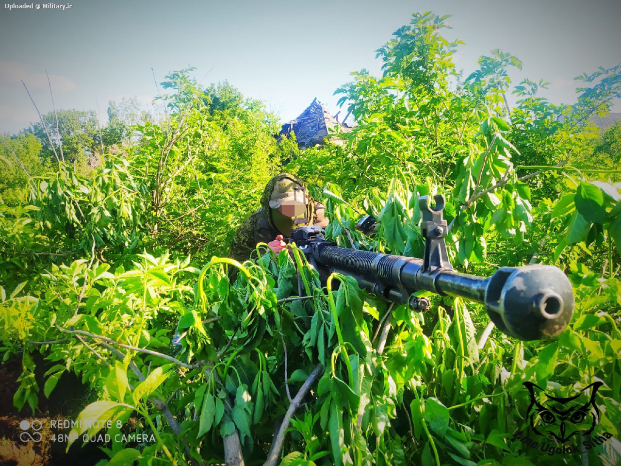 In_the_jungle_of_Donbass.jpg