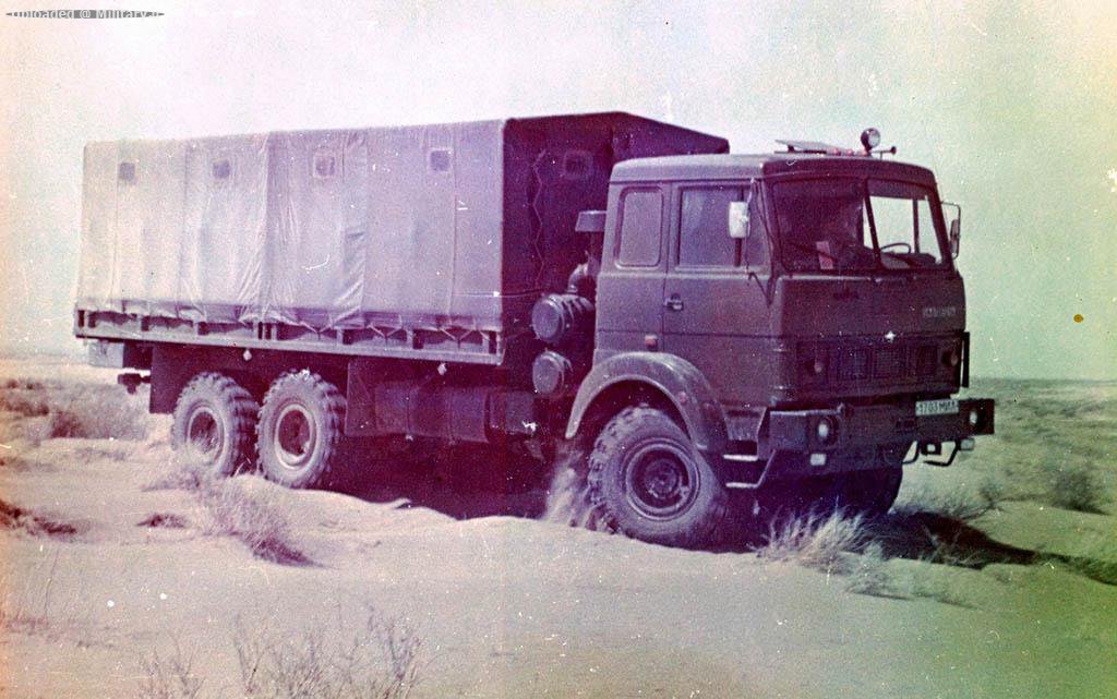 MAZ-6317.jpg
