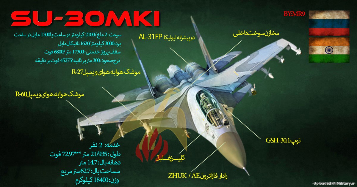 SU-30MKI-infographic~0.jpg