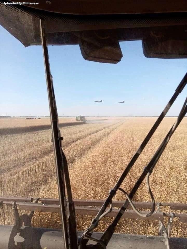 Ukrainian_harvest-2022_under_the_control