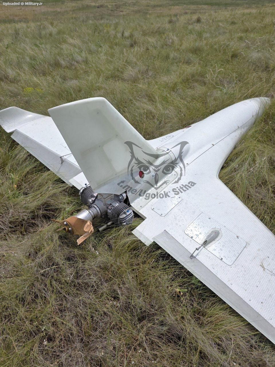 Upavshiy_ukrainskiy_dron-kamikadze_RZ-10