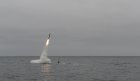Filename=1000w_q95-2-3.jpg
Filesize=41KiB
Dimensions=1000x579
Date added=Jul 01, 2018 1000w_q95-2-3.jpg
