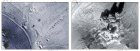 Filename=24-07-1397_10-36-03_b_new.jpg
Filesize=94KiB
Dimensions=957x355
Date added=Oct 18, 2018 24-07-1397_10-36-03_b_new.jpg