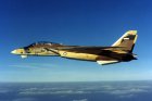 Filename=IRIAF-F-14.jpg
Filesize=82KiB
Dimensions=900x600
Date added=Aug 28, 2018 IRIAF-F-14.jpg
