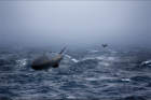 Filename=b36d320c5622b22d_800x800ar.png
Filesize=580KiB
Dimensions=800x532
Date added=Jul 18, 2018 b36d320c5622b22d_800x800ar.png