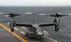 Filename=osprey_1502008790.jpg
Filesize=48KiB
Dimensions=631x376
Date added=Jun 23, 2018 osprey_1502008790.jpg
