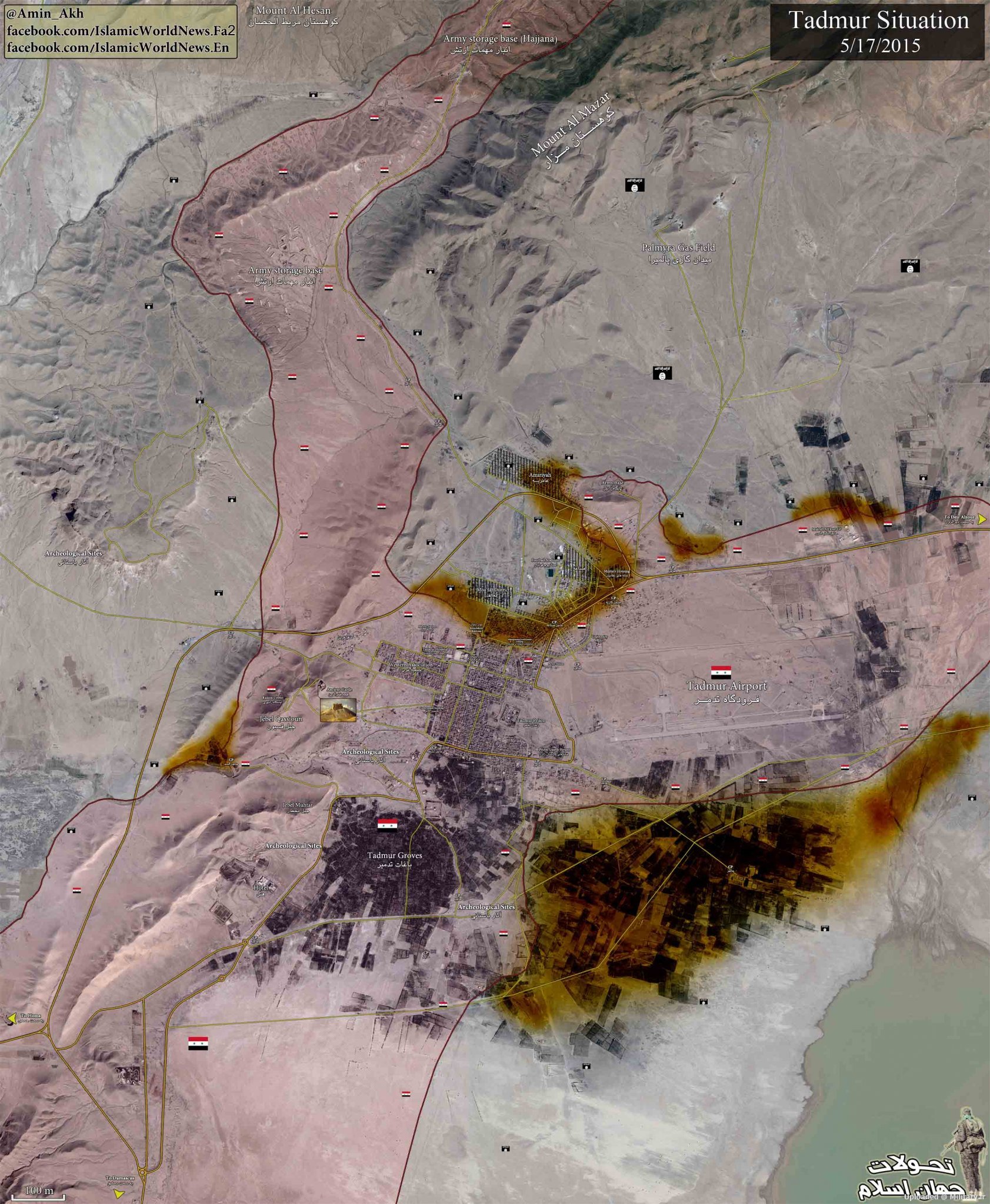 Palmyra-100-m-ORGINAL-8-bit-low.jpg