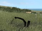 Filename=Abwehrflamennwefer-42_ww2_abwflw42.jpg
Filesize=126KiB
Dimensions=800x600
Date added=Sep 29, 2018 Abwehrflamennwefer-42_ww2_abwflw42.jpg