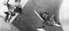 Filename=Sinai-Airstrike-9.jpg
Filesize=43KiB
Dimensions=652x300
Date added=Sep 23, 2018 Sinai-Airstrike-9.jpg