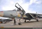 Filename=F-14_2818429.jpg
Filesize=44KiB
Dimensions=602x420
Date added=Jan 25, 2017 F-14_2818429.jpg
